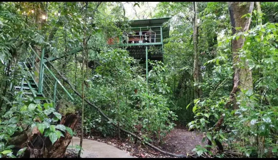 Jungle Living Tree Houses Монте-Верде Экстерьер фото