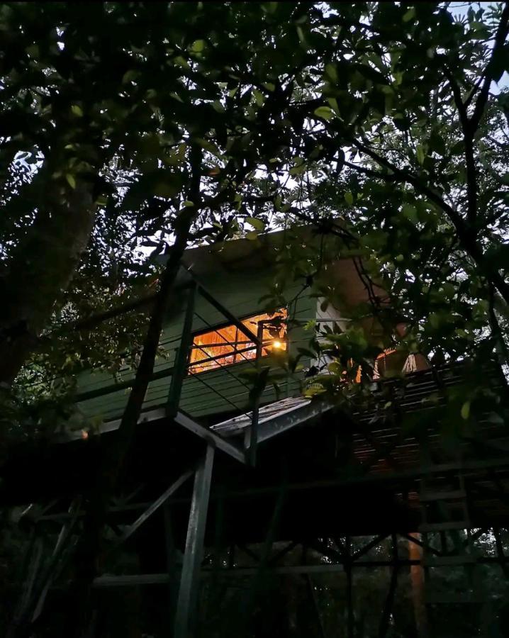 Jungle Living Tree Houses Монте-Верде Экстерьер фото