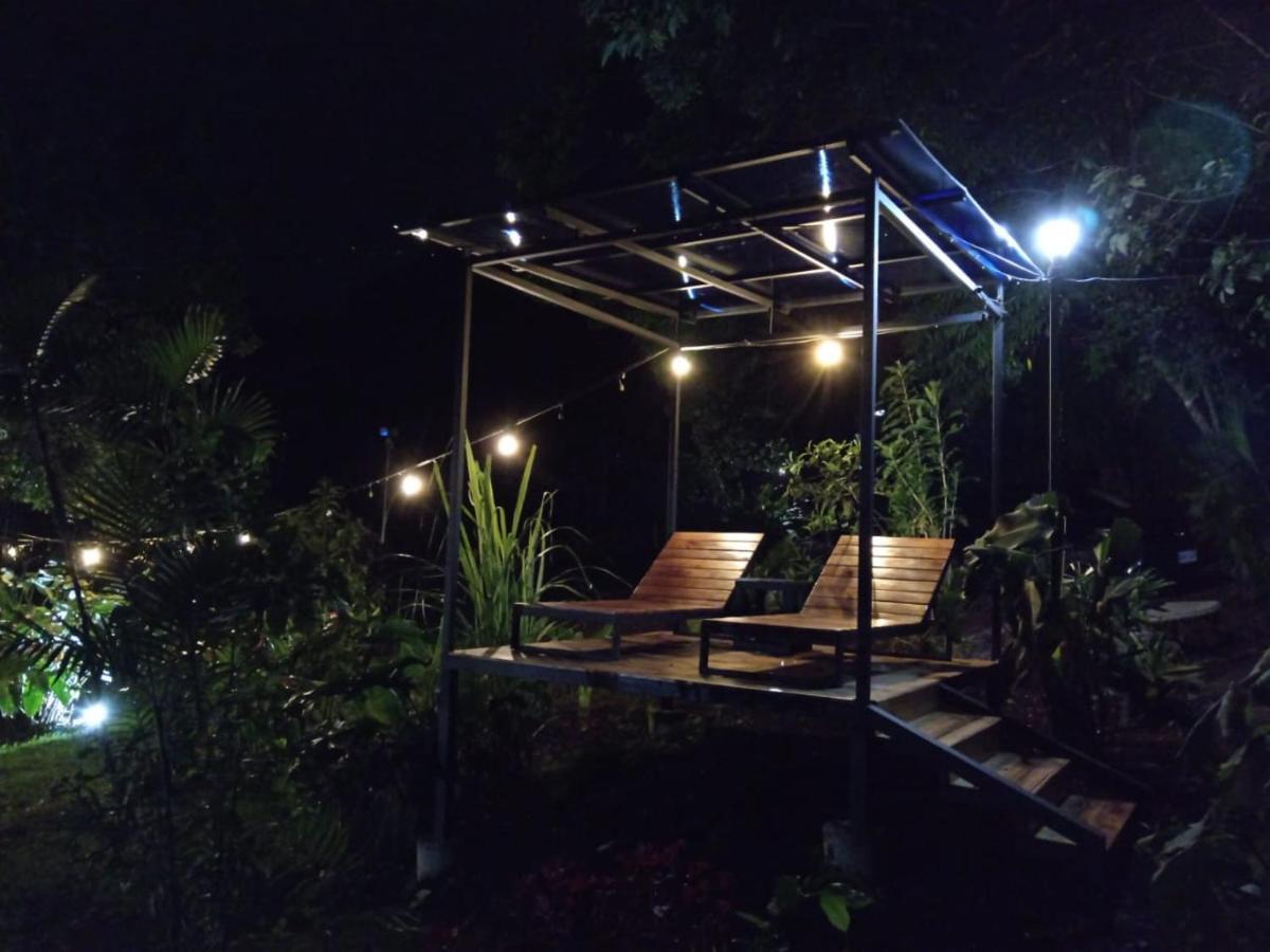 Jungle Living Tree Houses Монте-Верде Экстерьер фото