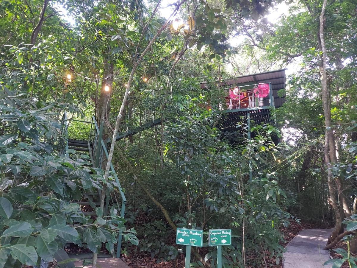 Jungle Living Tree Houses Монте-Верде Экстерьер фото