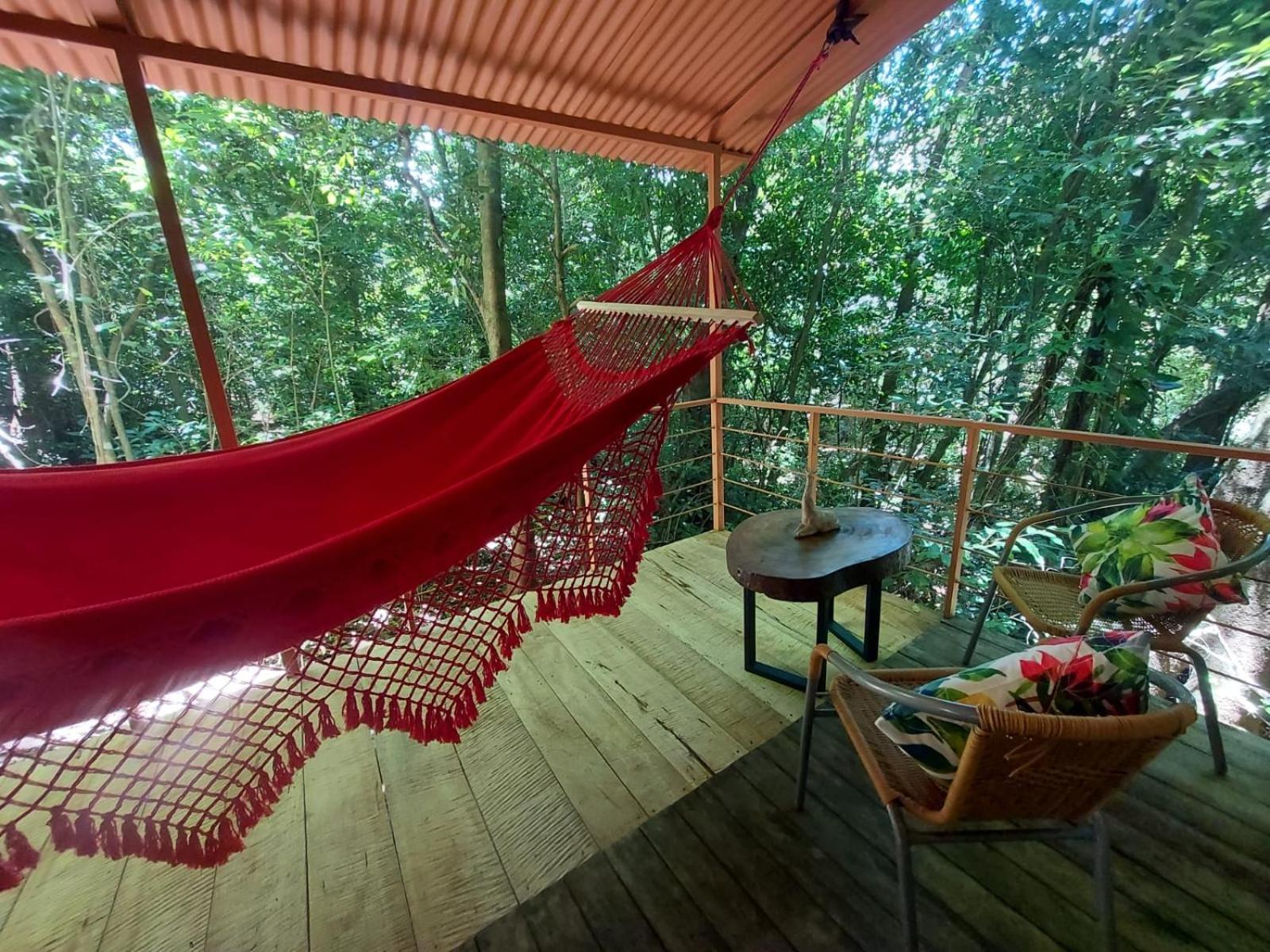 Jungle Living Tree Houses Монте-Верде Экстерьер фото