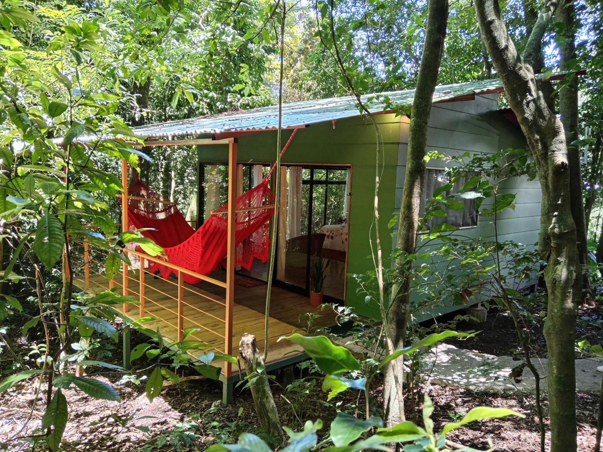 Jungle Living Tree Houses Монте-Верде Экстерьер фото