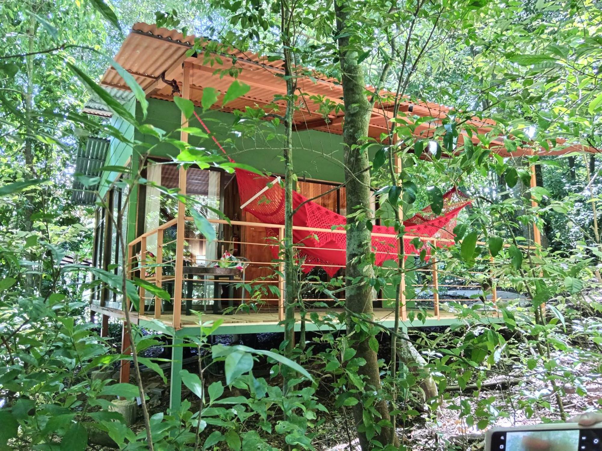 Jungle Living Tree Houses Монте-Верде Экстерьер фото
