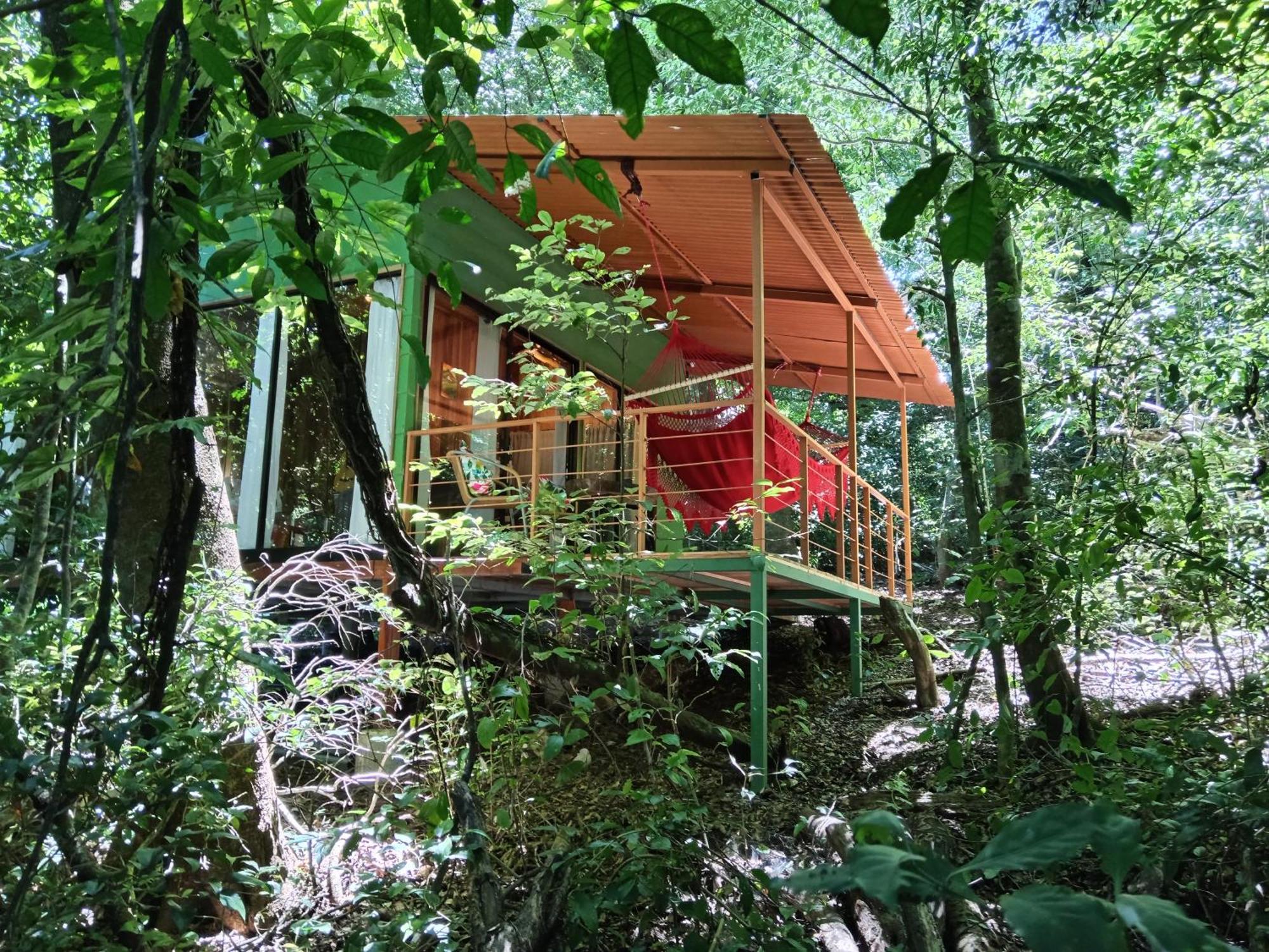 Jungle Living Tree Houses Монте-Верде Экстерьер фото