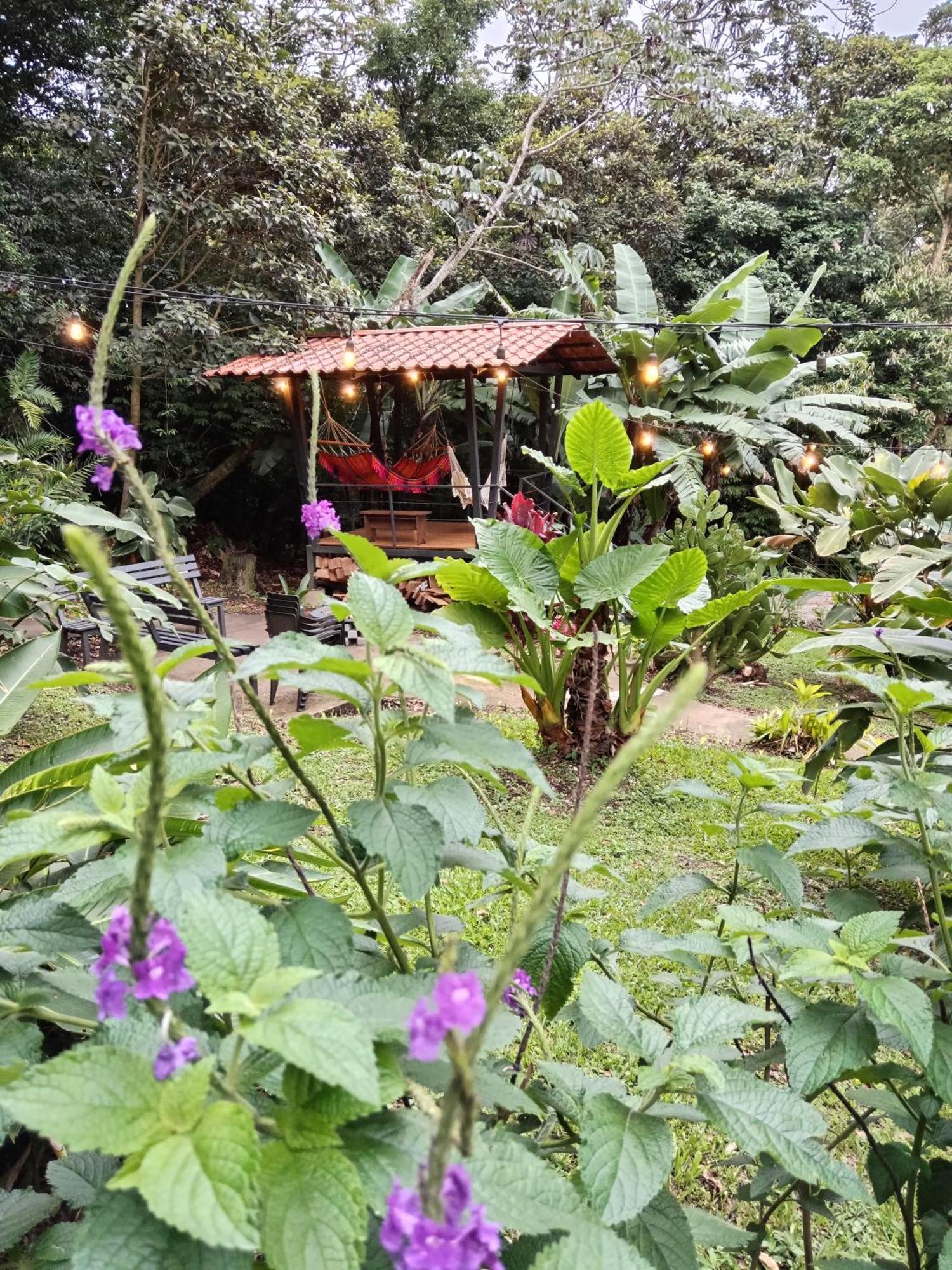 Jungle Living Tree Houses Монте-Верде Экстерьер фото