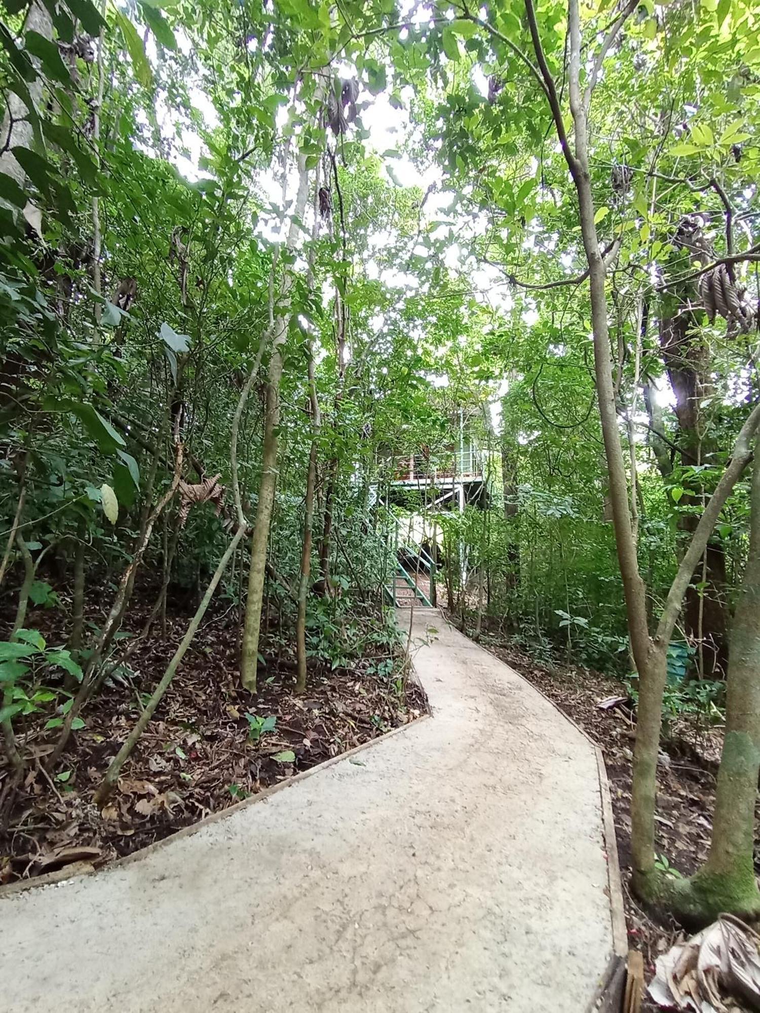 Jungle Living Tree Houses Монте-Верде Экстерьер фото