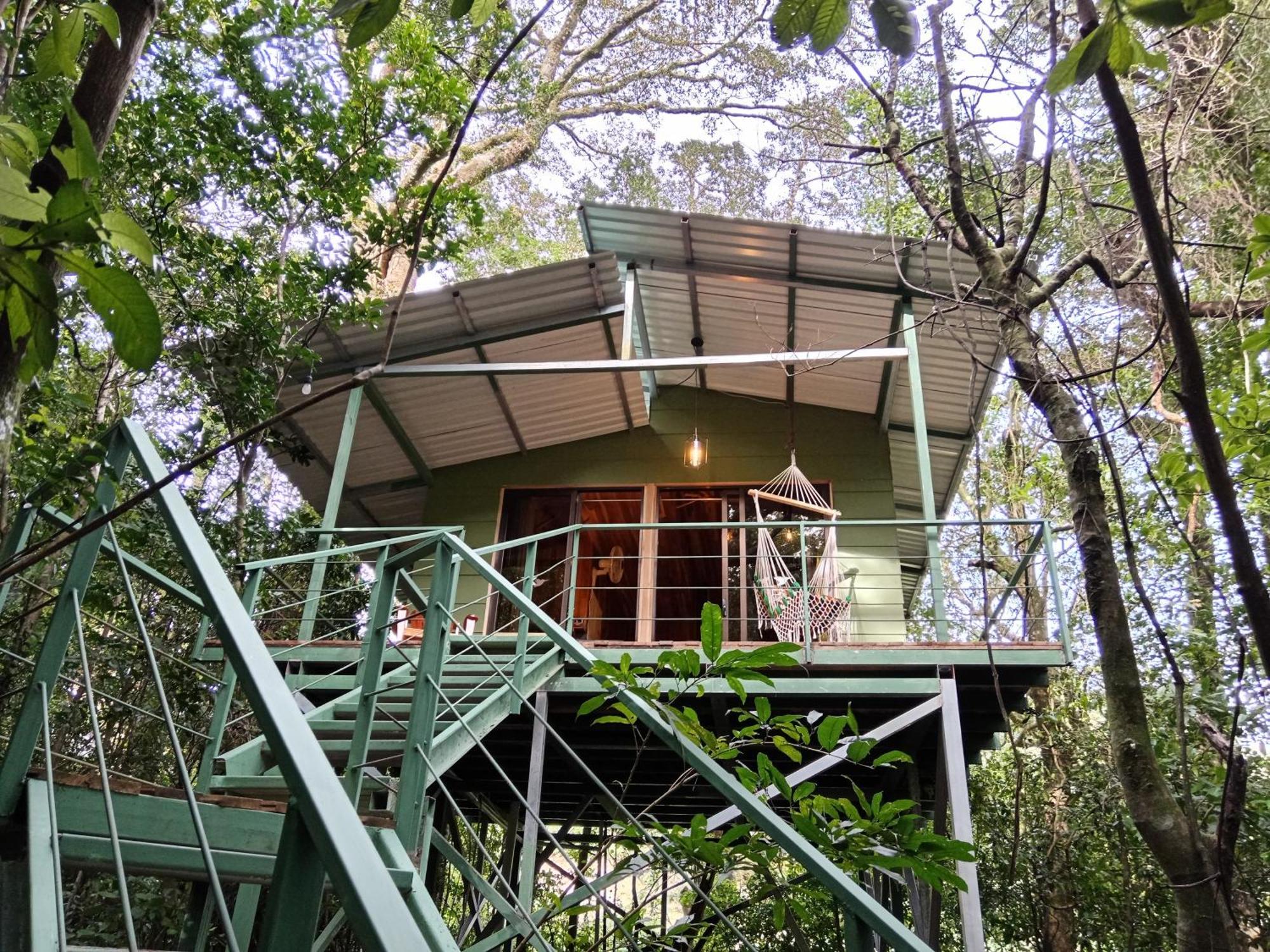 Jungle Living Tree Houses Монте-Верде Экстерьер фото