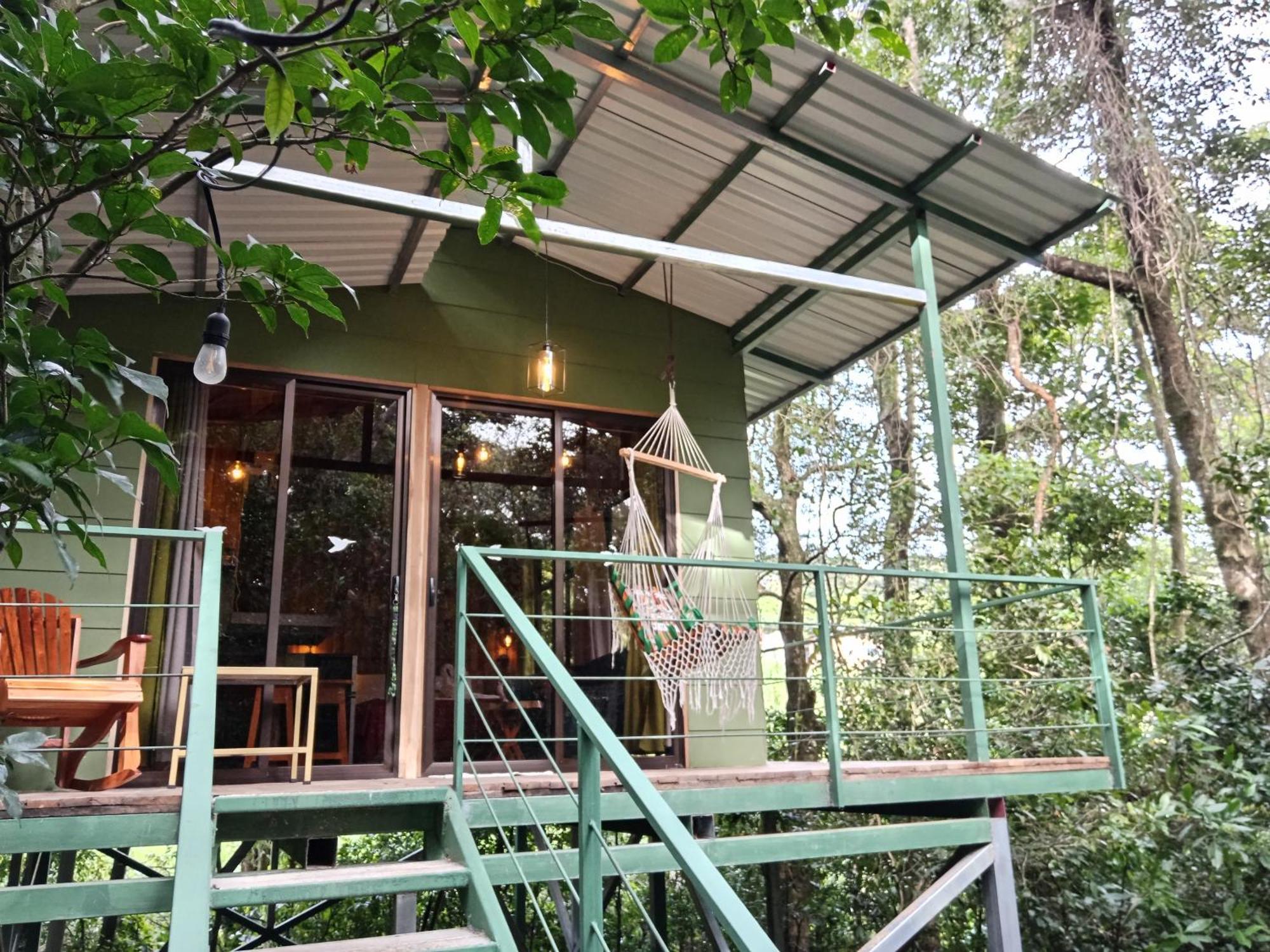 Jungle Living Tree Houses Монте-Верде Экстерьер фото